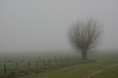 <i class='fa fa-user'></i>&nbsp;Bert Veerman&nbsp;|  Mist&nbsp; <i class='fa fa-eye'>&nbsp;67</i> &nbsp; <i class='fa fa-comment-o'>&nbsp;2</i>