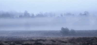 <i class='fa fa-user'></i>&nbsp;nelappelmelk&nbsp;|  Opkomende mist&nbsp; <i class='fa fa-eye'>&nbsp;85</i> &nbsp; <i class='fa fa-comment-o'>&nbsp;3</i>