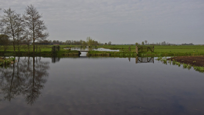 <i class='fa fa-user'></i>&nbsp;kooyammers&nbsp;|  Wetering Benendenkerk&nbsp; <i class='fa fa-eye'>&nbsp;55</i> &nbsp;<i class='fa fa-thumbs-up'>&nbsp;2</i> &nbsp; <i class='fa fa-comment-o'>&nbsp;3</i>
