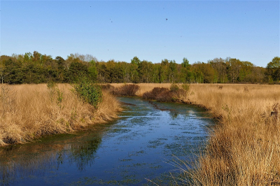 <i class='fa fa-user'></i>&nbsp;frbeuming&nbsp;|  Landschap&nbsp; <i class='fa fa-eye'>&nbsp;66</i> &nbsp;<i class='fa fa-thumbs-up'>&nbsp;1</i> &nbsp; <i class='fa fa-comment-o'>&nbsp;3</i>