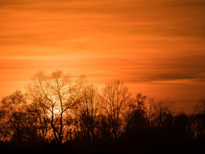 <i class='fa fa-user'></i>&nbsp;Truus Aletta Maan&nbsp;|  Zonsondergang&nbsp; <i class='fa fa-eye'>&nbsp;51</i> &nbsp;<i class='fa fa-thumbs-up'>&nbsp;1</i> &nbsp; <i class='fa fa-comment-o'>&nbsp;3</i>