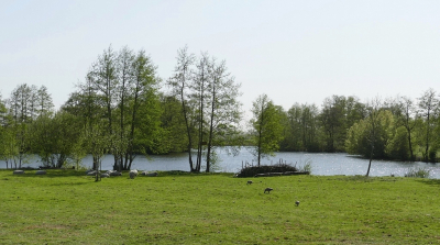 <i class='fa fa-user'></i>&nbsp;Ben Aalders&nbsp;|  Kolk in Westenholte&nbsp; <i class='fa fa-eye'>&nbsp;58</i> &nbsp; <i class='fa fa-comment-o'>&nbsp;1</i>