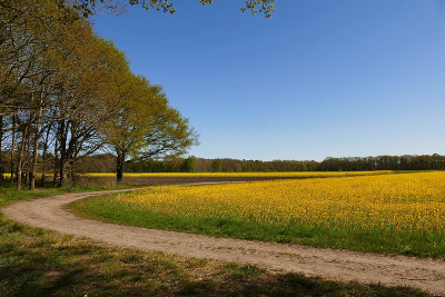 <i class='fa fa-user'></i>&nbsp;frbeuming&nbsp;|  Grens natuur-landbouw&nbsp; <i class='fa fa-eye'>&nbsp;61</i> &nbsp;<i class='fa fa-thumbs-up'>&nbsp;1</i> &nbsp; <i class='fa fa-comment-o'>&nbsp;2</i>