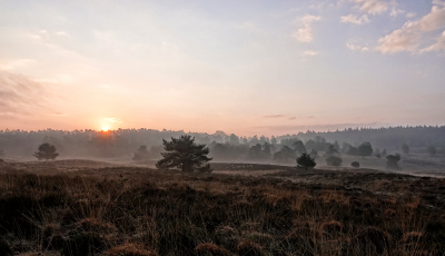 <i class='fa fa-user'></i>&nbsp;nelappelmelk&nbsp;|  Zonsopgang&nbsp; <i class='fa fa-eye'>&nbsp;94</i> &nbsp;<i class='fa fa-thumbs-up'>&nbsp;7</i> &nbsp; <i class='fa fa-comment-o'>&nbsp;8</i>