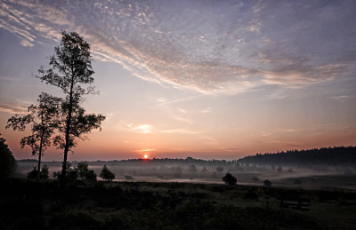 <i class='fa fa-user'></i>&nbsp;nelappelmelk&nbsp;|  Zonsopkomst&nbsp; <i class='fa fa-eye'>&nbsp;108</i> &nbsp;<i class='fa fa-thumbs-up'>&nbsp;4</i> &nbsp; <i class='fa fa-comment-o'>&nbsp;12</i>
