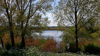 <i class='fa fa-user'></i>&nbsp;Bert Veerman&nbsp;|  Rijnstrangen -Leuvensedijk&nbsp; <i class='fa fa-eye'>&nbsp;63</i> &nbsp; <i class='fa fa-comment-o'>&nbsp;4</i>