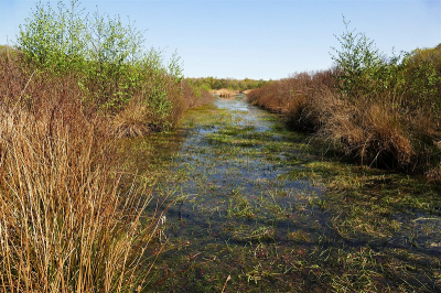 <i class='fa fa-user'></i>&nbsp;frbeuming&nbsp;|  Landschap&nbsp; <i class='fa fa-eye'>&nbsp;83</i> &nbsp; <i class='fa fa-comment-o'>&nbsp;2</i>