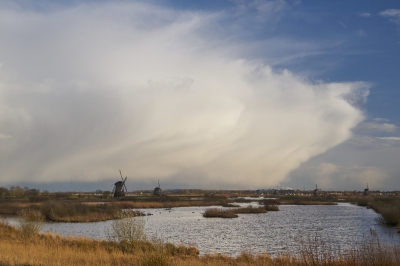 <i class='fa fa-user'></i>&nbsp;Corn� Stam&nbsp;|  Winterse bui boven Kinderdijk&nbsp; <i class='fa fa-eye'>&nbsp;120</i> &nbsp;<i class='fa fa-thumbs-up'>&nbsp;6</i> &nbsp; <i class='fa fa-comment-o'>&nbsp;5</i>