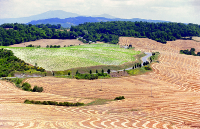 <i class='fa fa-user'></i>&nbsp;Hendrik van Kampen&nbsp;|  Val d'Orcia&nbsp; <i class='fa fa-eye'>&nbsp;126</i> &nbsp; <i class='fa fa-comment-o'>&nbsp;5</i>