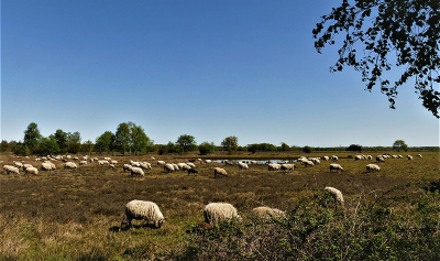 <i class='fa fa-user'></i>&nbsp;frbeuming&nbsp;|  Landschap&nbsp; <i class='fa fa-eye'>&nbsp;70</i> &nbsp; <i class='fa fa-comment-o'>&nbsp;1</i>