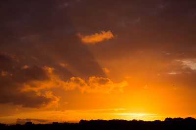 <i class='fa fa-user'></i>&nbsp;Truus Aletta Maan&nbsp;|  Zonsondergang&nbsp; <i class='fa fa-eye'>&nbsp;60</i> &nbsp; <i class='fa fa-comment-o'>&nbsp;4</i>