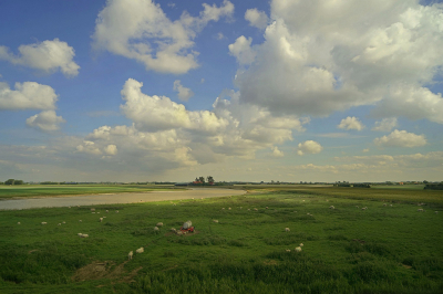 <i class='fa fa-user'></i>&nbsp;Nel R&nbsp;|  Zeeuws landschap&nbsp; <i class='fa fa-eye'>&nbsp;106</i> &nbsp;<i class='fa fa-thumbs-up'>&nbsp;8</i> &nbsp; <i class='fa fa-comment-o'>&nbsp;8</i>