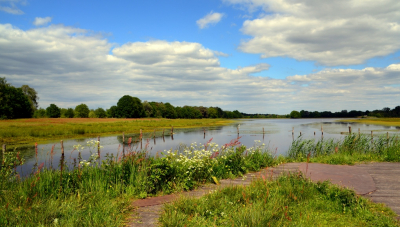 <i class='fa fa-user'></i>&nbsp;B.M.Schouten-Ruis&nbsp;|  Landschap met Beleven&nbsp; <i class='fa fa-eye'>&nbsp;90</i> &nbsp;<i class='fa fa-thumbs-up'>&nbsp;4</i> &nbsp; <i class='fa fa-comment-o'>&nbsp;5</i>