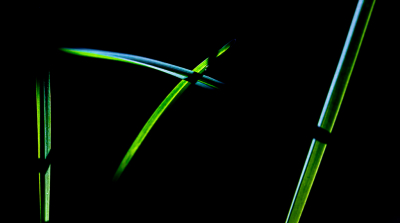 <i class='fa fa-user'></i>&nbsp;rvandijkzl&nbsp;|  Gras&nbsp; <i class='fa fa-eye'>&nbsp;119</i> &nbsp;<i class='fa fa-thumbs-up'>&nbsp;8</i> &nbsp; <i class='fa fa-comment-o'>&nbsp;13</i>