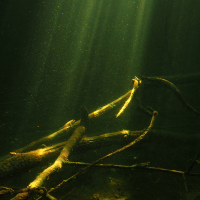 <i class='fa fa-user'></i>&nbsp;Eric Gibcus&nbsp;|  Zoetwatergrondel sp.&nbsp; <i class='fa fa-eye'>&nbsp;123</i> &nbsp;<i class='fa fa-thumbs-up'>&nbsp;1</i> &nbsp; <i class='fa fa-comment-o'>&nbsp;4</i>