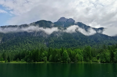 In juli 2019 een aantal dagen in Oostenrijk geweest en bij een wandeling om en nabij de Pillersee een aantal foto's gemaakt, deze toevallig met een mobiele telefoon ter afwisseling.