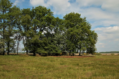 <i class='fa fa-user'></i>&nbsp;frbeuming&nbsp;|  Landschap&nbsp; <i class='fa fa-eye'>&nbsp;70</i> &nbsp; <i class='fa fa-comment-o'>&nbsp;3</i>
