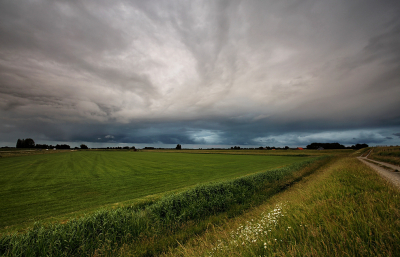 <i class='fa fa-user'></i>&nbsp;Pieter  LJ&nbsp;|  Bui boven polder&nbsp; <i class='fa fa-eye'>&nbsp;95</i> &nbsp;<i class='fa fa-thumbs-up'>&nbsp;1</i> &nbsp; <i class='fa fa-comment-o'>&nbsp;2</i>