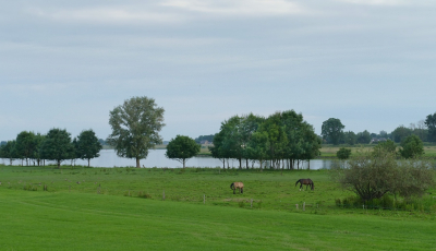 <i class='fa fa-user'></i>&nbsp;Ben Aalders&nbsp;|  Avond langs de IJssel&nbsp; <i class='fa fa-eye'>&nbsp;58</i> &nbsp; <i class='fa fa-comment-o'>&nbsp;1</i>