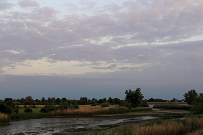 <i class='fa fa-user'></i>&nbsp;Tineke Strijbosch&nbsp;|  Avondlandschap bij rivier de Lek&nbsp; <i class='fa fa-eye'>&nbsp;71</i> &nbsp; <i class='fa fa-comment-o'>&nbsp;6</i>