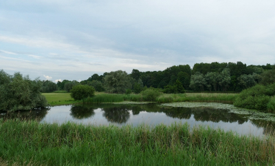 <i class='fa fa-user'></i>&nbsp;Ben Aalders&nbsp;|  Voormalige vuilstortplaats Westerveld&nbsp; <i class='fa fa-eye'>&nbsp;70</i> &nbsp; <i class='fa fa-comment-o'>&nbsp;4</i>