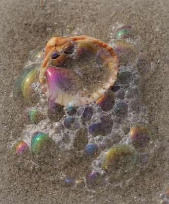 <i class='fa fa-user'></i>&nbsp;Nel R&nbsp;|  Kokkel&nbsp; <i class='fa fa-eye'>&nbsp;97</i> &nbsp;<i class='fa fa-thumbs-up'>&nbsp;7</i> &nbsp; <i class='fa fa-comment-o'>&nbsp;9</i>