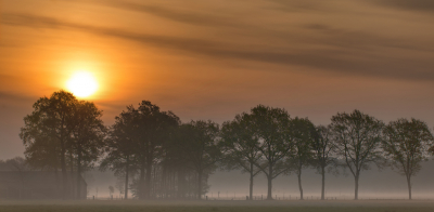 <i class='fa fa-user'></i>&nbsp;Reinier van den Born&nbsp;|  Zonsopkomst&nbsp; <i class='fa fa-eye'>&nbsp;94</i> &nbsp;<i class='fa fa-thumbs-up'>&nbsp;8</i> &nbsp; <i class='fa fa-comment-o'>&nbsp;6</i>