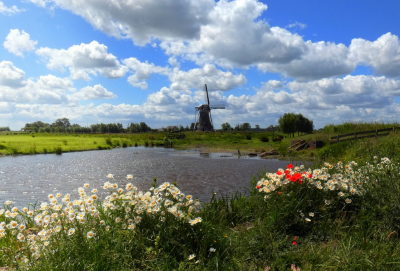 <i class='fa fa-user'></i>&nbsp;B.M.Schouten-Ruis&nbsp;|  Landschap Hoge Boezem&nbsp; <i class='fa fa-eye'>&nbsp;133</i> &nbsp;<i class='fa fa-thumbs-up'>&nbsp;6</i> &nbsp; <i class='fa fa-comment-o'>&nbsp;12</i>