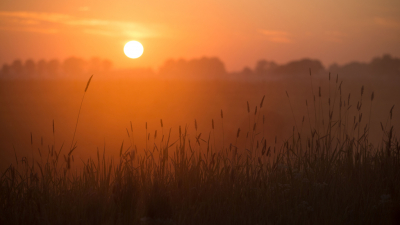 <i class='fa fa-user'></i>&nbsp;Reinier van den Born&nbsp;|  Zonsopkomst&nbsp; <i class='fa fa-eye'>&nbsp;76</i> &nbsp;<i class='fa fa-thumbs-up'>&nbsp;6</i> &nbsp; <i class='fa fa-comment-o'>&nbsp;8</i>