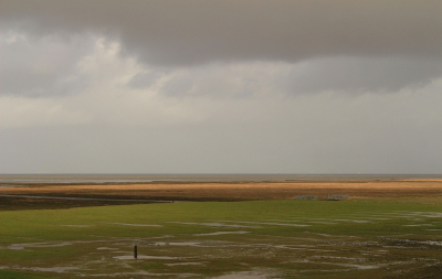 <i class='fa fa-user'></i>&nbsp;Tineke Strijbosch&nbsp;|  Donkere wolken boven de Kwelders bij Noordpolderzijl&nbsp; <i class='fa fa-eye'>&nbsp;90</i> &nbsp;<i class='fa fa-thumbs-up'>&nbsp;5</i> &nbsp; <i class='fa fa-comment-o'>&nbsp;7</i>