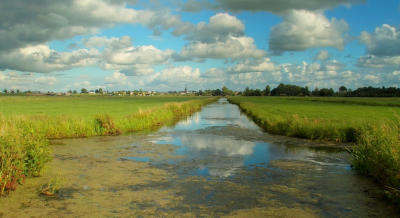 <i class='fa fa-user'></i>&nbsp;B.M.Schouten-Ruis&nbsp;|  Landschap Hitland&nbsp; <i class='fa fa-eye'>&nbsp;83</i> &nbsp;<i class='fa fa-thumbs-up'>&nbsp;2</i> &nbsp; <i class='fa fa-comment-o'>&nbsp;7</i>