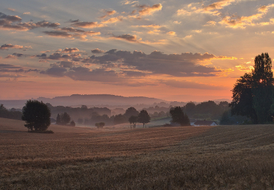 Gistermorgen was het nog flink koel en hing er grondmist. Ik heb me hier zo opgesteld dat de zon achter de boom was. De harpen werden mooi verspreid.

Uit de hand genomen, 5 bracketed opnames samengevoegd.