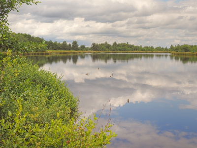 <i class='fa fa-user'></i>&nbsp;Tim Oord&nbsp;|  Weerspiegeling in ven&nbsp; <i class='fa fa-eye'>&nbsp;65</i> &nbsp;<i class='fa fa-thumbs-up'>&nbsp;1</i> &nbsp; <i class='fa fa-comment-o'>&nbsp;2</i>