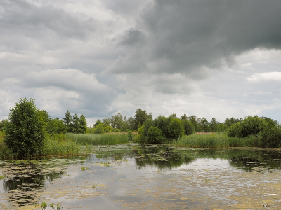 <i class='fa fa-user'></i>&nbsp;Tim Oord&nbsp;|  Wolkenlucht boven Rottige Meente&nbsp; <i class='fa fa-eye'>&nbsp;64</i> &nbsp;<i class='fa fa-thumbs-up'>&nbsp;1</i> &nbsp; <i class='fa fa-comment-o'>&nbsp;4</i>