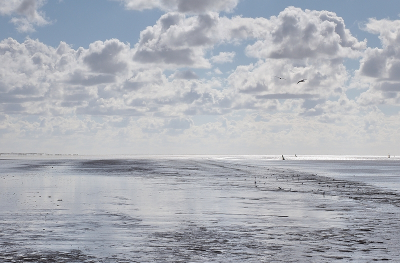 <i class='fa fa-user'></i>&nbsp;Tim Oord&nbsp;|  Lichtval op 't Wad&nbsp; <i class='fa fa-eye'>&nbsp;101</i> &nbsp;<i class='fa fa-thumbs-up'>&nbsp;3</i> &nbsp; <i class='fa fa-comment-o'>&nbsp;4</i>