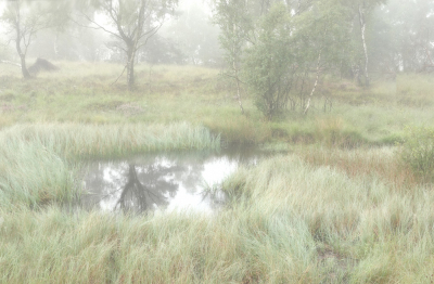 <i class='fa fa-user'></i>&nbsp;nelappelmelk&nbsp;|  Ven in de mist&nbsp; <i class='fa fa-eye'>&nbsp;106</i> &nbsp;<i class='fa fa-thumbs-up'>&nbsp;1</i> &nbsp; <i class='fa fa-comment-o'>&nbsp;3</i>