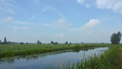 <i class='fa fa-user'></i>&nbsp;kooyammers&nbsp;|  Polder bij Bonrepas&nbsp; <i class='fa fa-eye'>&nbsp;63</i> &nbsp;<i class='fa fa-thumbs-up'>&nbsp;2</i> &nbsp; <i class='fa fa-comment-o'>&nbsp;2</i>