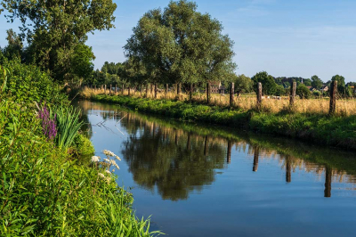 Late namiddag wandeling in Munkzwalm (Belgi).
De ondergaande zon zat op de juiste hoogte om met deze mooie weerspiegeling als resultaat