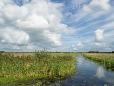 <i class='fa fa-user'></i>&nbsp;Tim Oord&nbsp;|  Wolkenlucht boven polder&nbsp; <i class='fa fa-eye'>&nbsp;54</i> &nbsp;<i class='fa fa-thumbs-up'>&nbsp;1</i> &nbsp; <i class='fa fa-comment-o'>&nbsp;2</i>