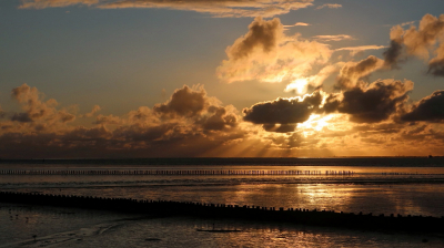 <i class='fa fa-user'></i>&nbsp;rixte&nbsp;|  Het Wad tijdens zonsondergang&nbsp; <i class='fa fa-eye'>&nbsp;114</i> &nbsp;<i class='fa fa-thumbs-up'>&nbsp;6</i> &nbsp; <i class='fa fa-comment-o'>&nbsp;6</i>