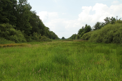 <i class='fa fa-user'></i>&nbsp;frbeuming&nbsp;|  Landschap&nbsp; <i class='fa fa-eye'>&nbsp;82</i> &nbsp; <i class='fa fa-comment-o'>&nbsp;2</i>