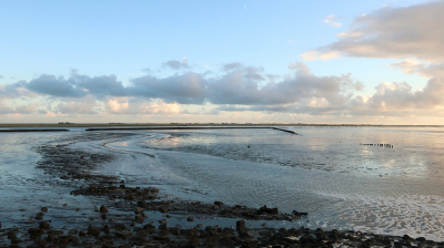 <i class='fa fa-user'></i>&nbsp;rixte&nbsp;|  Het Wad bij Holwerd&nbsp; <i class='fa fa-eye'>&nbsp;64</i> &nbsp; <i class='fa fa-comment-o'>&nbsp;5</i>