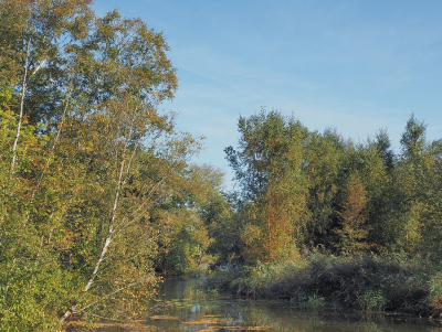<i class='fa fa-user'></i>&nbsp;Tim Oord&nbsp;|  Beginnende herfst&nbsp; <i class='fa fa-eye'>&nbsp;46</i> &nbsp; <i class='fa fa-comment-o'>&nbsp;2</i>