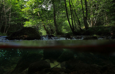 <i class='fa fa-user'></i>&nbsp;Eric Gibcus&nbsp;|  Waterval&nbsp; <i class='fa fa-eye'>&nbsp;105</i> &nbsp; <i class='fa fa-comment-o'>&nbsp;2</i>