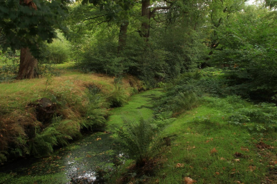 <i class='fa fa-user'></i>&nbsp;Tineke Strijbosch&nbsp;|  Groene tinten in het Asserbos&nbsp; <i class='fa fa-eye'>&nbsp;112</i> &nbsp;<i class='fa fa-thumbs-up'>&nbsp;3</i> &nbsp; <i class='fa fa-comment-o'>&nbsp;9</i>