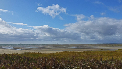 <i class='fa fa-user'></i>&nbsp;kooyammers&nbsp;|  Noordsvaarder 2&nbsp; <i class='fa fa-eye'>&nbsp;83</i> &nbsp;<i class='fa fa-thumbs-up'>&nbsp;1</i> &nbsp; <i class='fa fa-comment-o'>&nbsp;3</i>