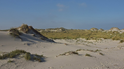 <i class='fa fa-user'></i>&nbsp;kooyammers&nbsp;|  Duinen Oosterend Terschelling&nbsp; <i class='fa fa-eye'>&nbsp;79</i> &nbsp;<i class='fa fa-thumbs-up'>&nbsp;2</i> &nbsp; <i class='fa fa-comment-o'>&nbsp;4</i>