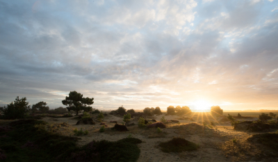 Het was nog wat vroeg voor de tapuiten dus maar even wat tijd gespendeerd om een  landschap foto te maken.