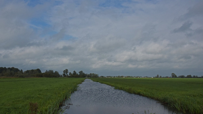 <i class='fa fa-user'></i>&nbsp;kooyammers&nbsp;|  Najaars Polder&nbsp; <i class='fa fa-eye'>&nbsp;70</i> &nbsp; <i class='fa fa-comment-o'>&nbsp;1</i>