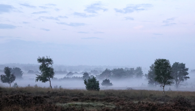 <i class='fa fa-user'></i>&nbsp;nelappelmelk&nbsp;|  Verstilde morgen&nbsp; <i class='fa fa-eye'>&nbsp;108</i> &nbsp;<i class='fa fa-thumbs-up'>&nbsp;5</i> &nbsp; <i class='fa fa-comment-o'>&nbsp;8</i>